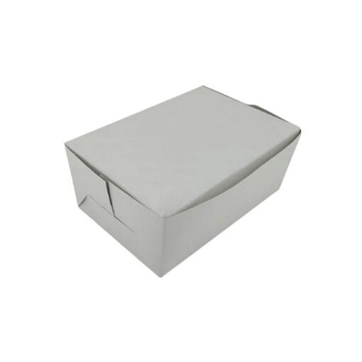 6P Pastry Box Plain - 50pcs